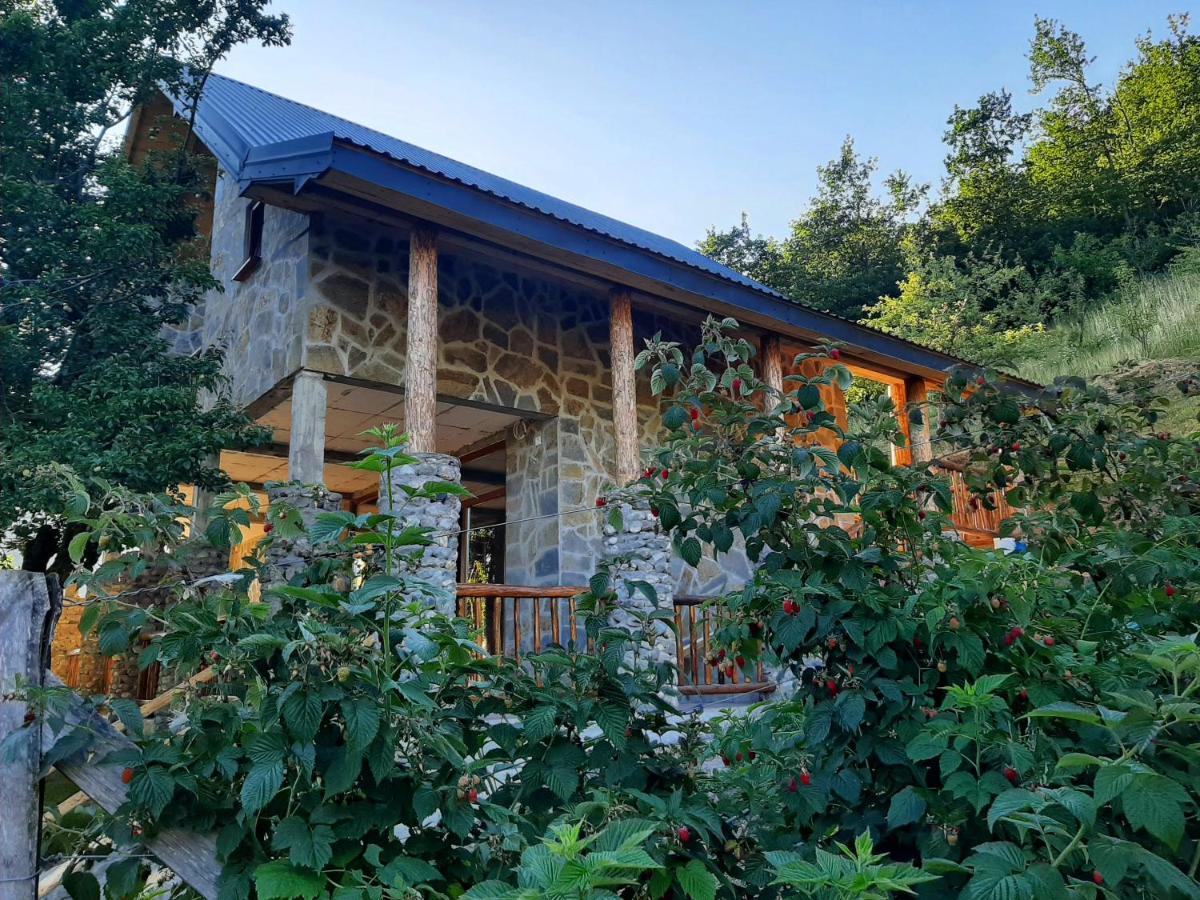 Fern Farm Eco Studio Apartment مويكوفاتش المظهر الخارجي الصورة